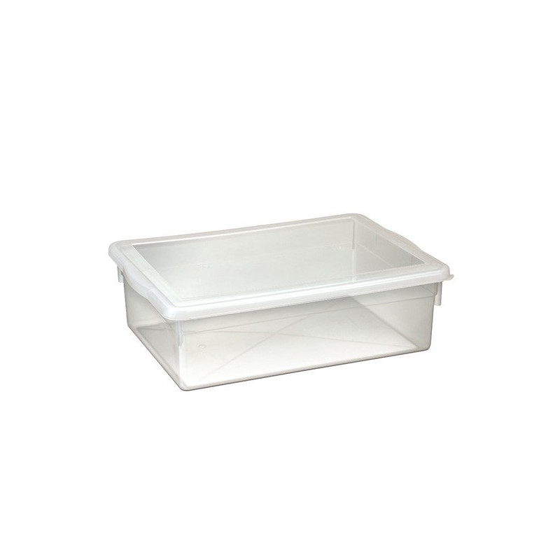 Caixa Organizadora Transparente c/ Tampa 5L