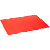 Tapete de Silicone 40X30 Cm